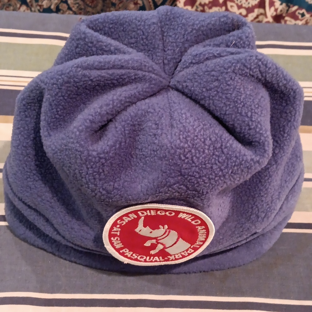 Patagonia Blue Fleece Hat
